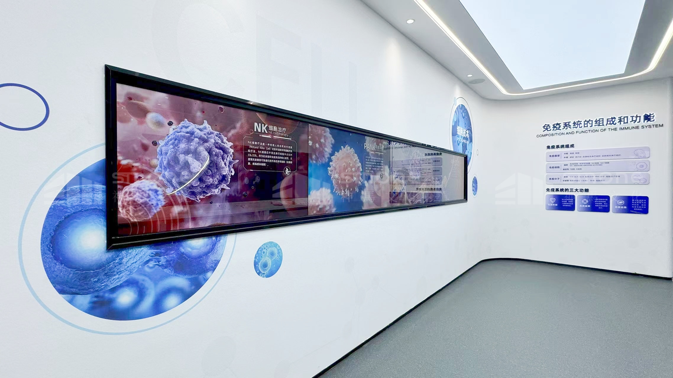 奥本先康达实拍图 (9).jpg