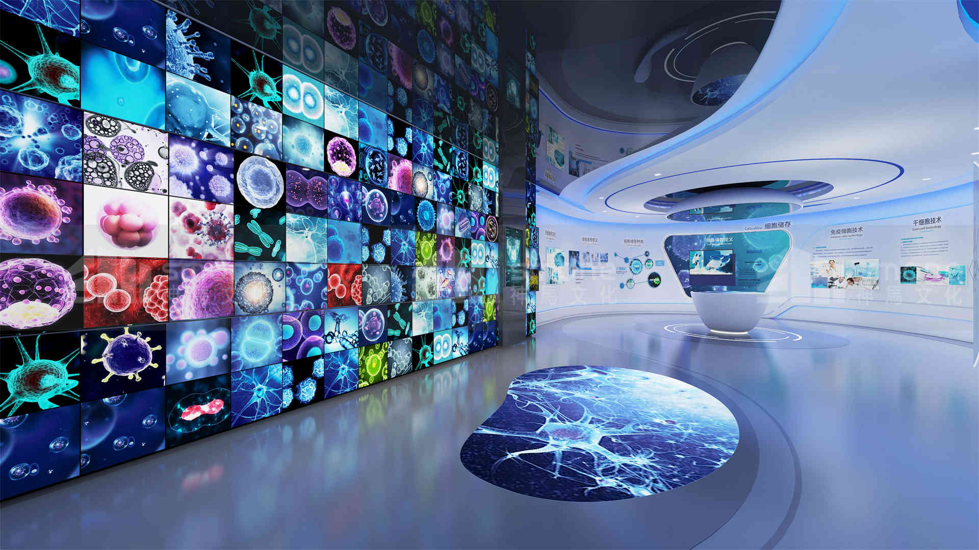 探秘再生医学未来科技：干细胞hth会体会官网app下载汇集创意