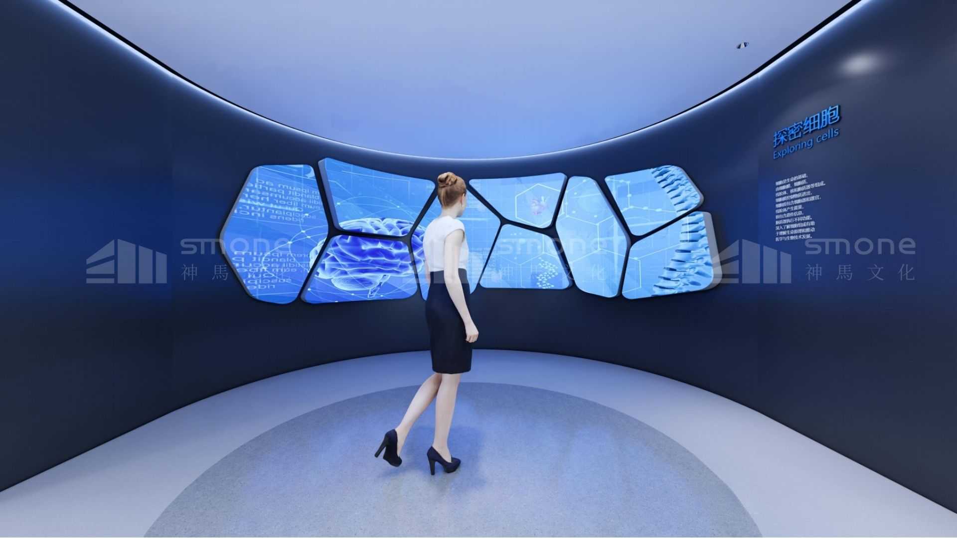 穿越时空，探秘干细胞“前世今生”