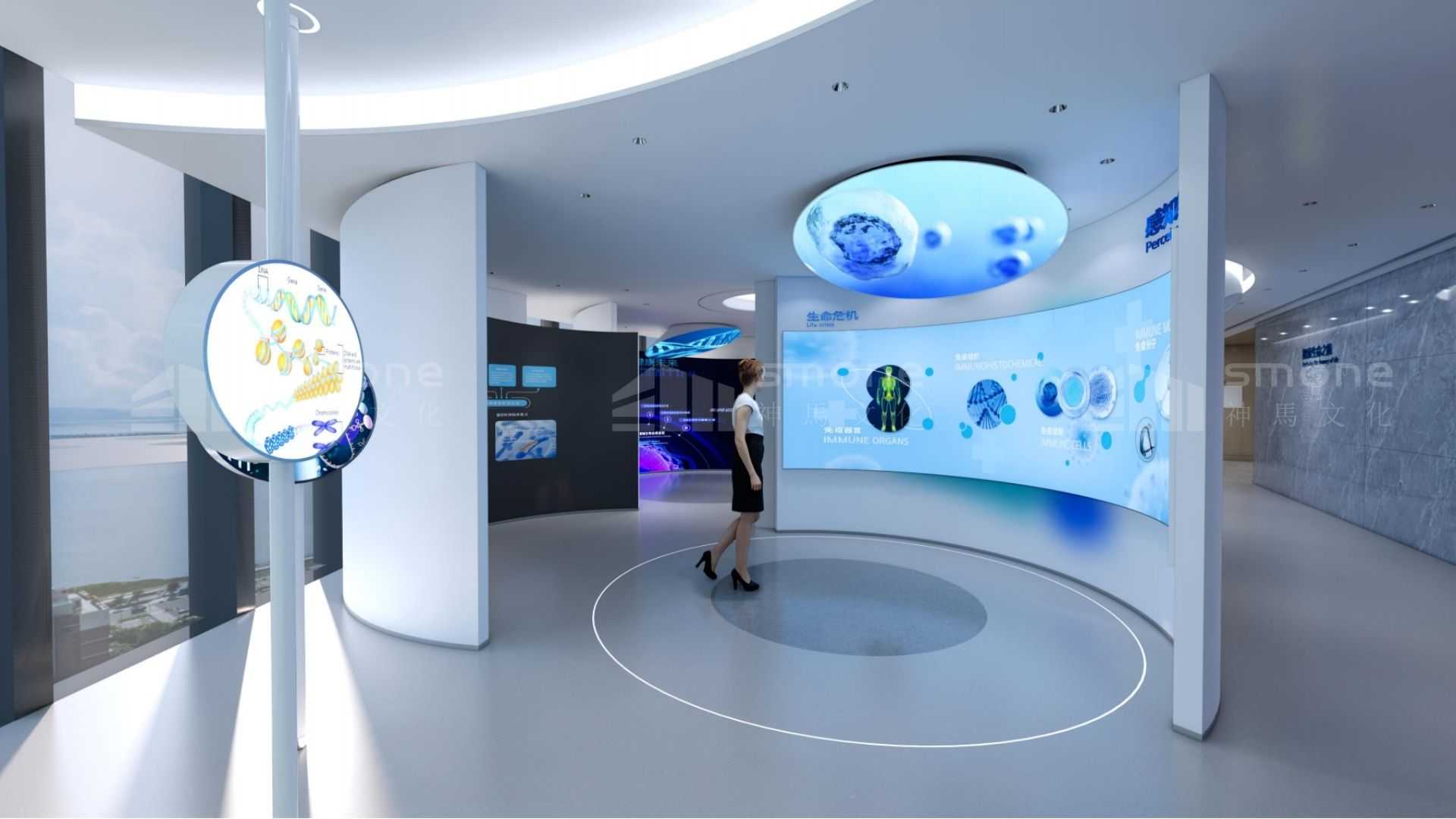 神马文化：赋能医疗器械展厅，绽放卓越展示魅力